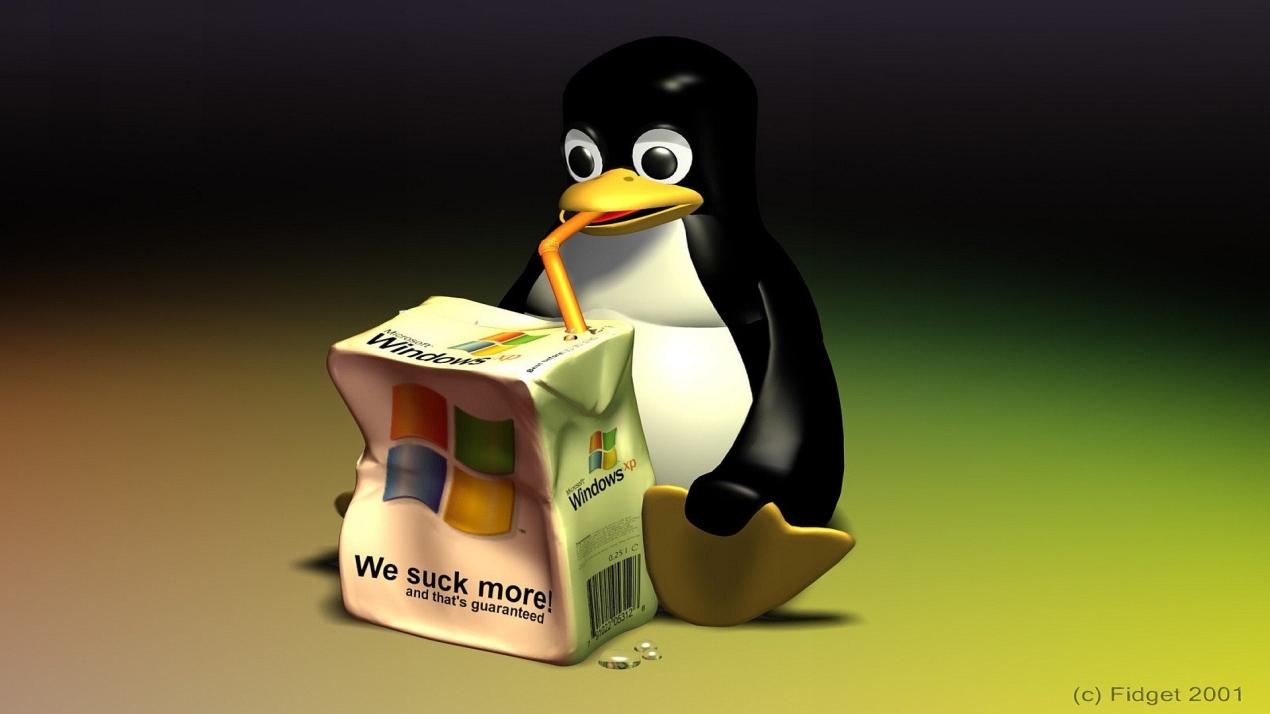 Automatiser les tâches avec la ligne de commande Linux : libérer la puissance des scripts
