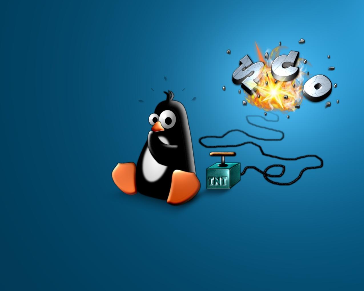Quelles sont les commandes les plus importantes de la ligne de commande Linux pour l'administration système ?